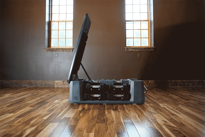 FITBENCH FREE