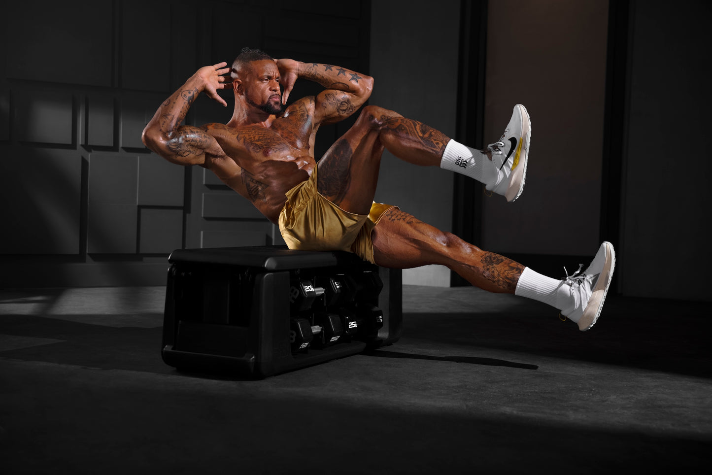 FITBENCH FREE