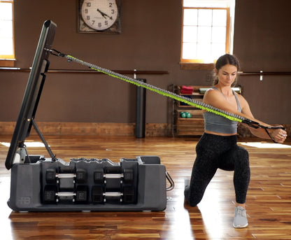 FITBENCH FREE